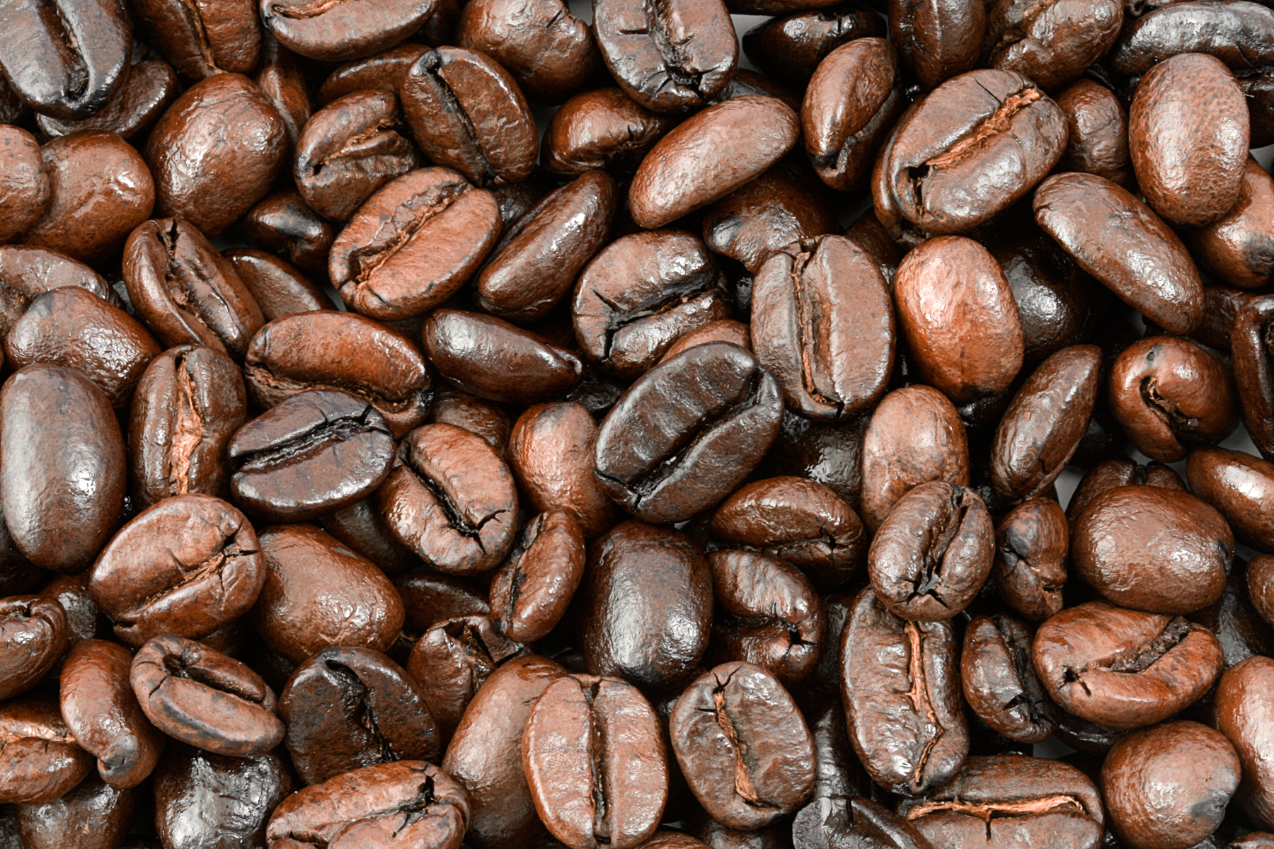 KÁVA CARRARO - Pěstování kávy